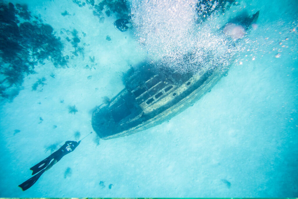 Scuba Diving Image