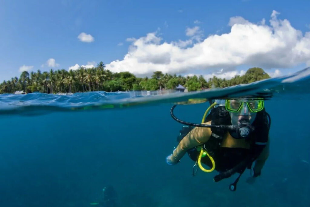 Scuba Diving Image