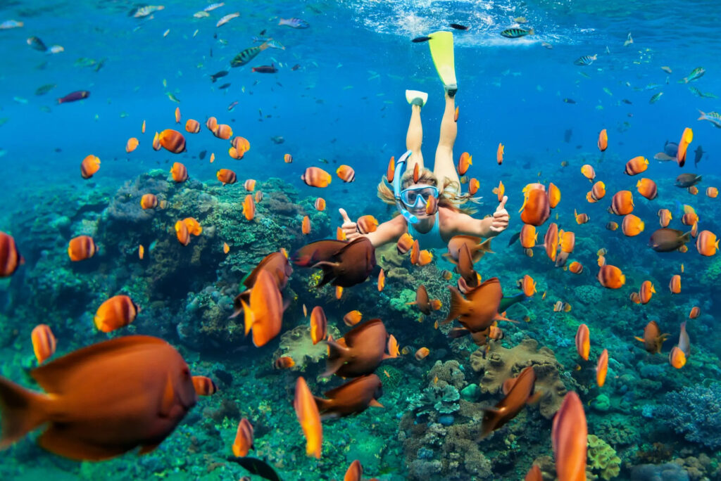 Scuba Diving Image